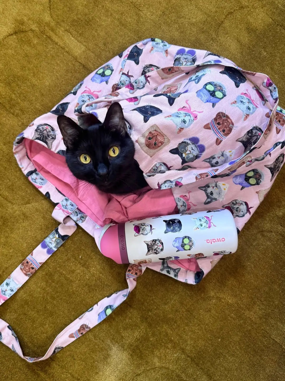 Owala 32oz Insulated Water Bottle in Pink Cat Collage Design with Matching Pink Lid