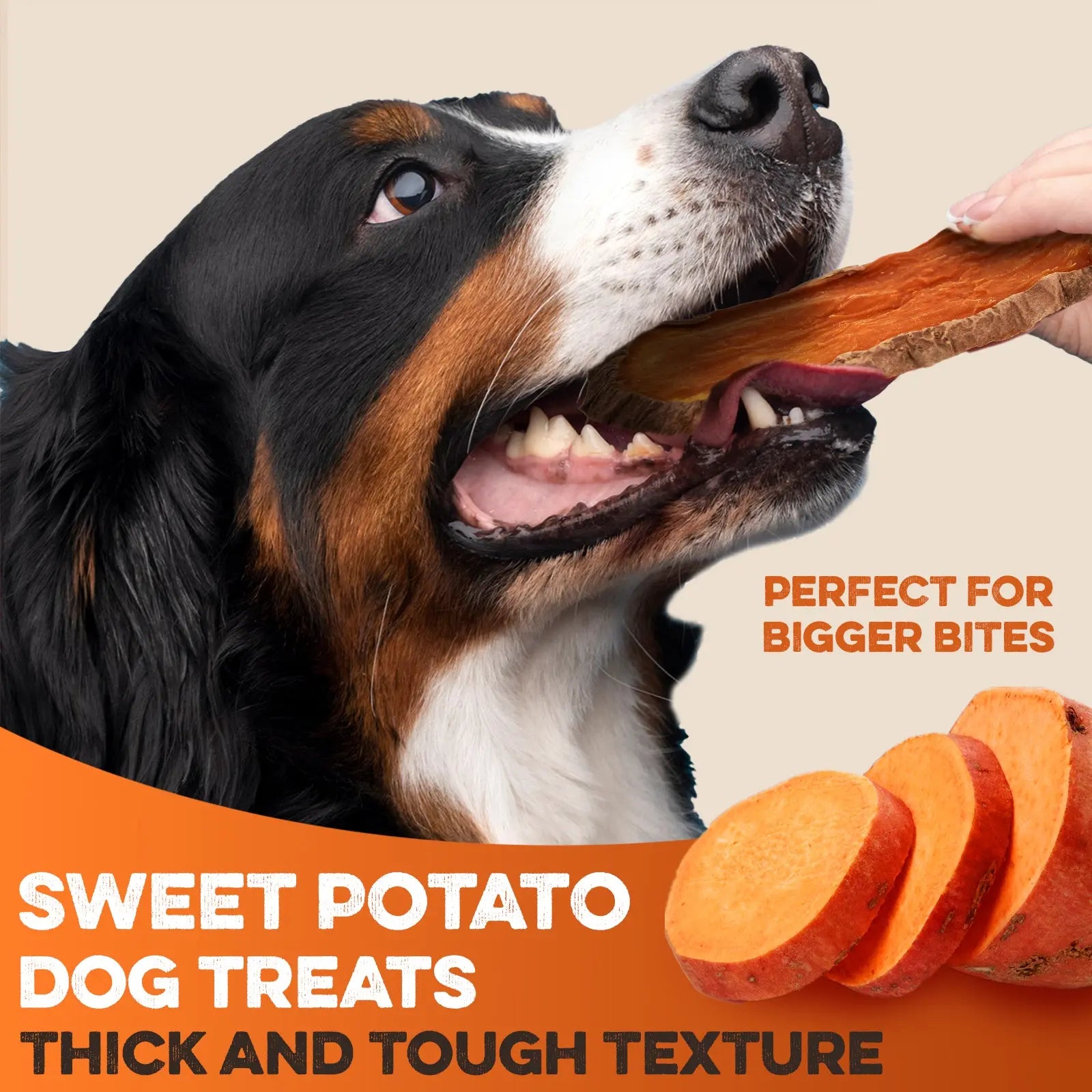 Dehydrated Sweet Potato Dog Treats - USA Grown, Single Ingredient, Thick Cut Chews, Grain & Gluten Free, High Fiber Healthy Training Treats for Puppies and Senior Dogs, Ideal for Picky Eaters and Sensitive Stomachs