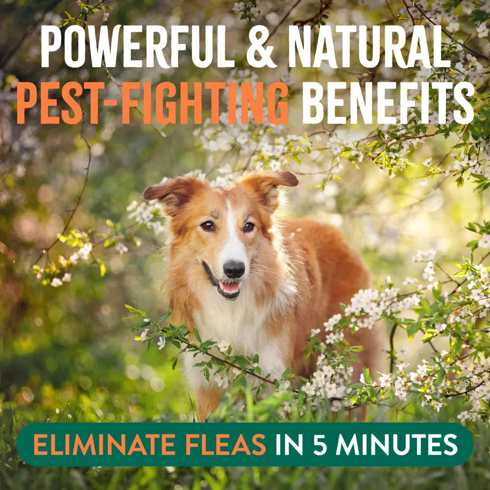 TropiClean Natural Flea and Tick Home and Dog Spray, 32 oz