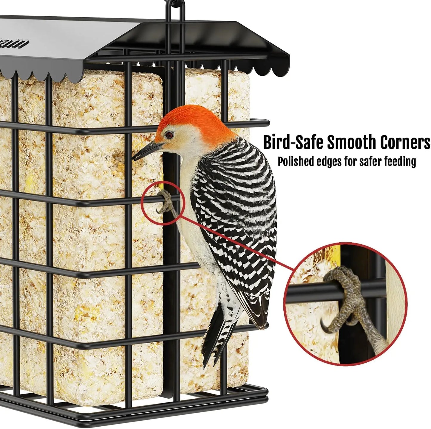 Birdream All-Metal Double Suet Bird Feeder for Outdoor Use, Accommodates 2 Standard Suet Cakes, Easy Refilling, Ideal for Woodpeckers, Chickadees, and Nuthatches