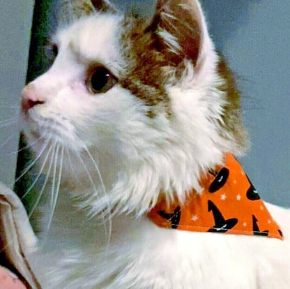 Supporting Charity Halloween Dog Bow & Bandana Handmade in UK. Multi Sizes