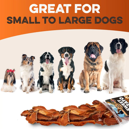 Dehydrated Sweet Potato Dog Treats - USA Grown, Single Ingredient, Thick Cut Chews, Grain & Gluten Free, High Fiber Healthy Training Treats for Puppies and Senior Dogs, Ideal for Picky Eaters and Sensitive Stomachs