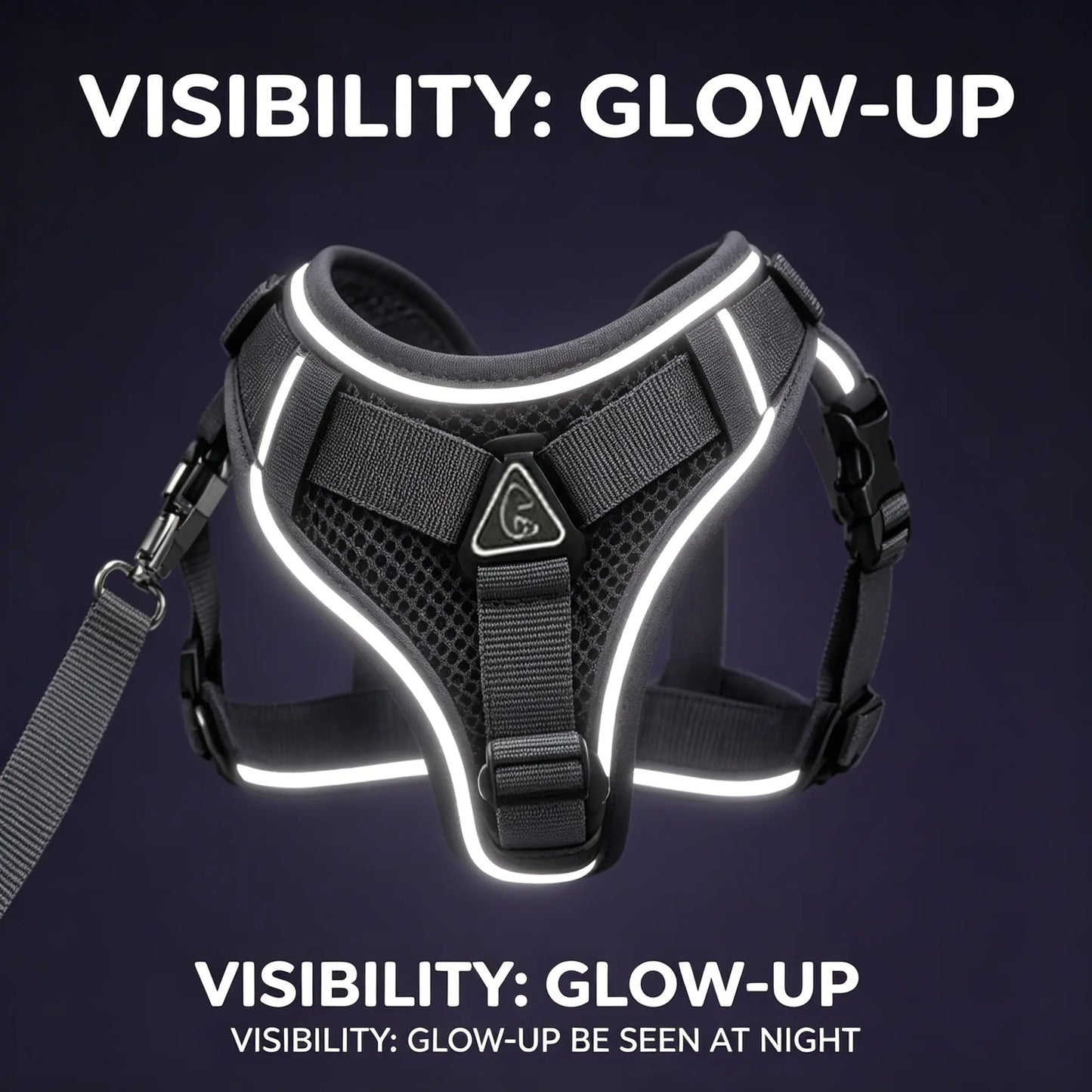 Adjustable Escape-Proof Cat Harness and Leash Set with Reflective Strip and Soft Mesh Vest for Safe and Comfortable Walking, Includes Summer Version