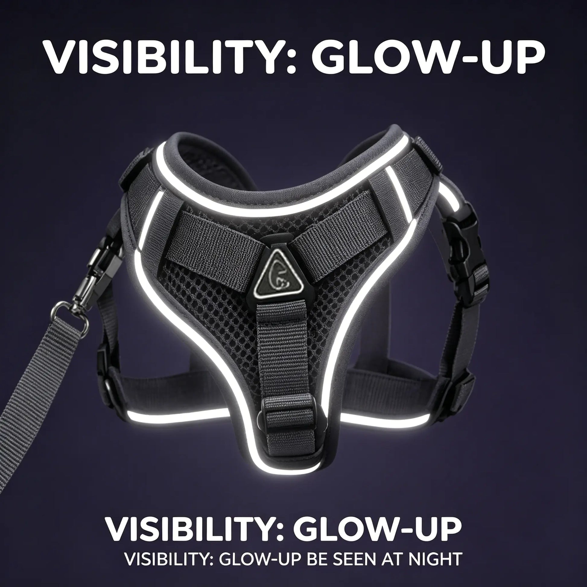 Adjustable Escape-Proof Cat Harness and Leash Set with Reflective Strip and Soft Mesh Vest for Safe and Comfortable Walking, Includes Summer Version