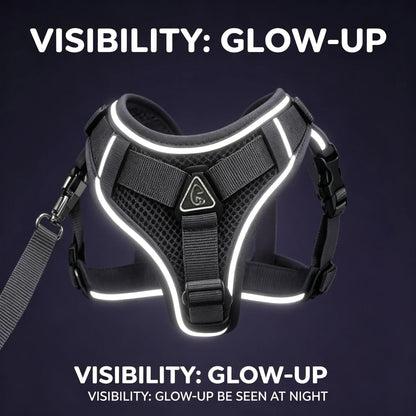 Adjustable Escape-Proof Cat Harness and Leash Set with Reflective Strip and Soft Mesh Vest for Safe and Comfortable Walking, Includes Summer Version