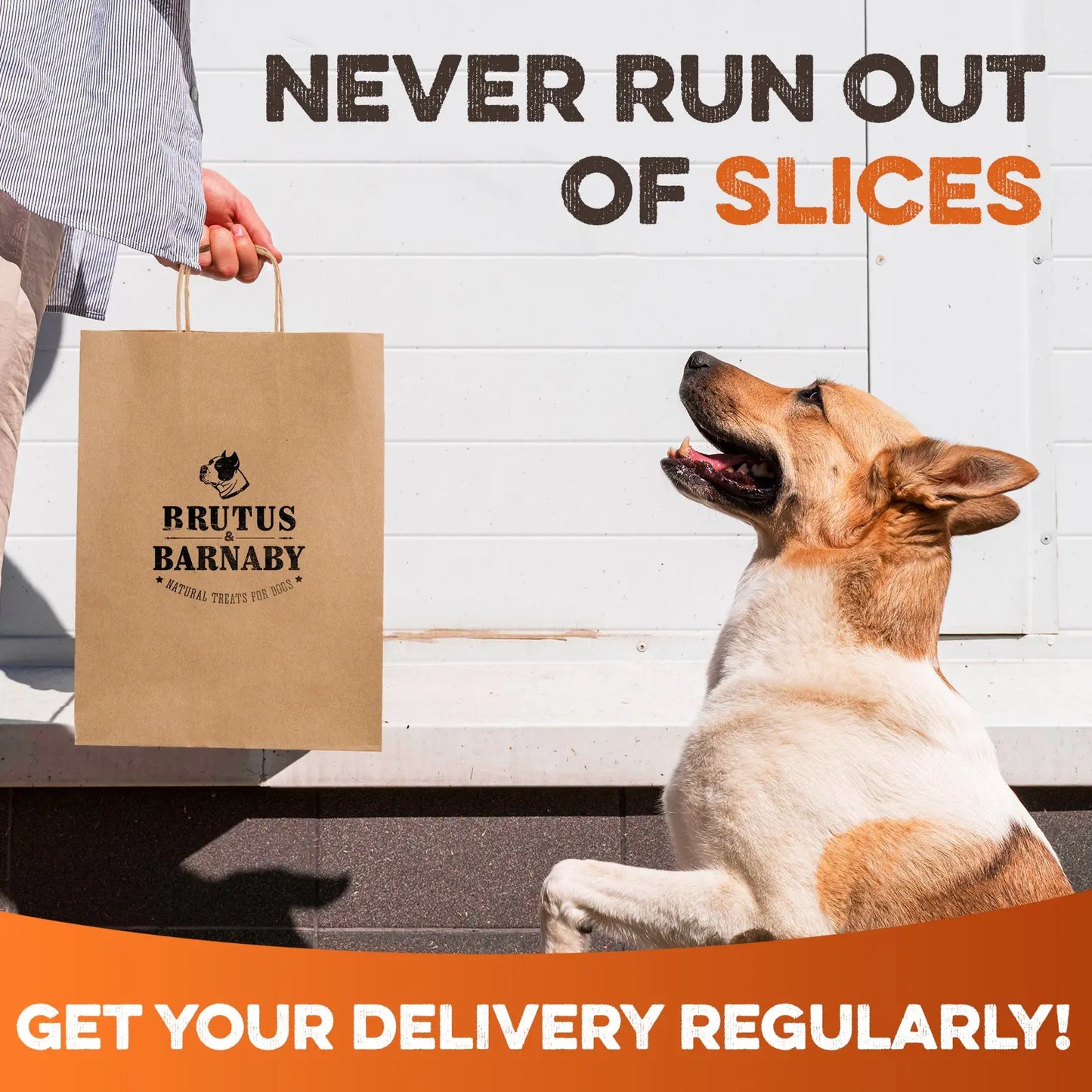 Dehydrated Sweet Potato Dog Treats - USA Grown, Single Ingredient, Thick Cut Chews, Grain & Gluten Free, High Fiber Healthy Training Treats for Puppies and Senior Dogs, Ideal for Picky Eaters and Sensitive Stomachs