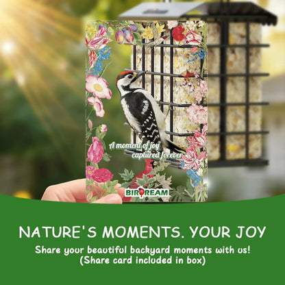 Birdream All-Metal Double Suet Bird Feeder for Outdoor Use, Accommodates 2 Standard Suet Cakes, Easy Refilling, Ideal for Woodpeckers, Chickadees, and Nuthatches