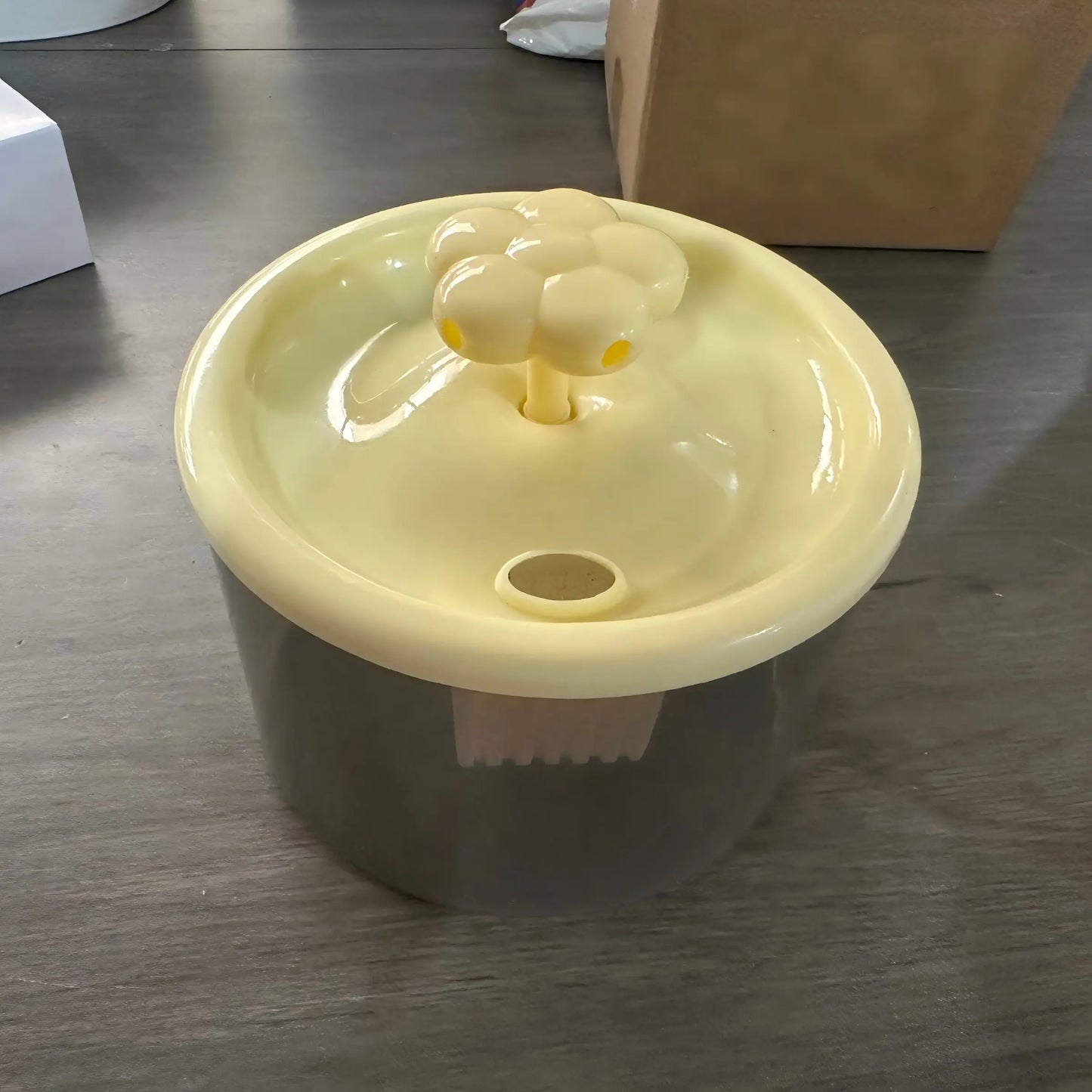 Cat Water Fountain Dispenser with Transparent Design, Quiet Operation, USB Power, and Recirculating Filter for Indoor Use
