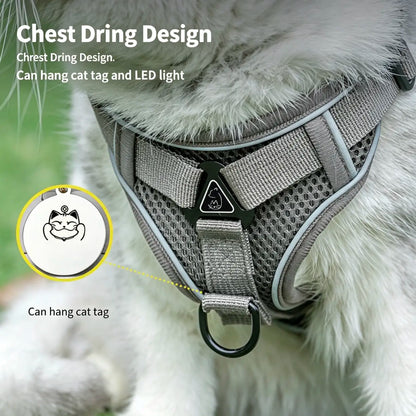 Adjustable Escape-Proof Cat Harness and Leash Set with Reflective Strip and Soft Mesh Vest for Safe and Comfortable Walking, Includes Summer Version