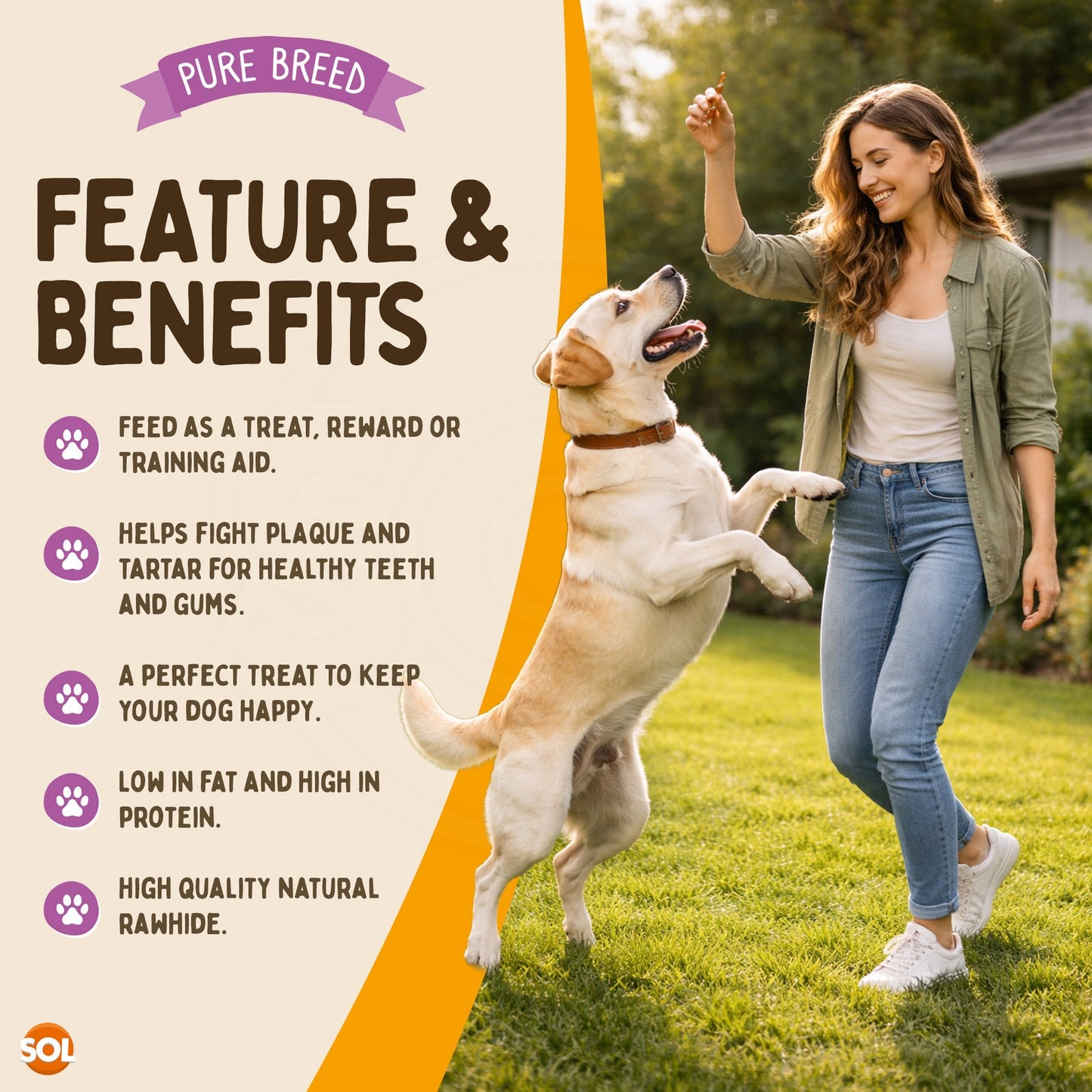 10Pk Dog Chews Treats Rawhide Twists Sticks Wrapped in Chicken Meat Healthy Food